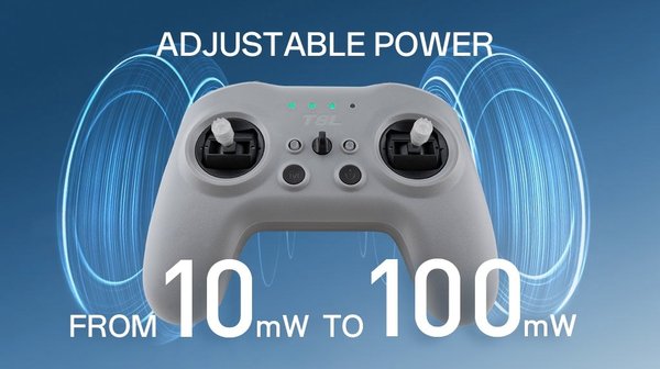 Radiomaster T8L 10-kanals ELRS M2 LBT Grå