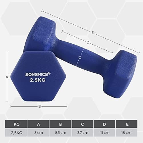 Songmics 2 hantlar, 2 x 2,5 icke-halk Neoprene handvikter med matt finish, blå