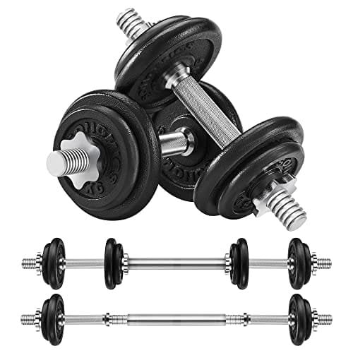 Songmics 2-in-1 käsipainosetti, 2 x 10 kg säädettävät valurautapainot, lisäteräslevyllä, musta