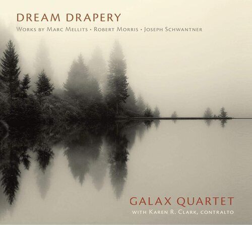 Galax Quartet : Galax Quartet: Dream Drapery CD (2020)