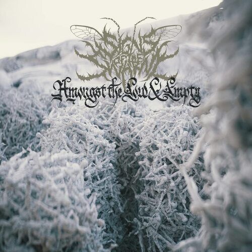 Signs of the Swarm : Amongst the Low & Empty CD (2023)