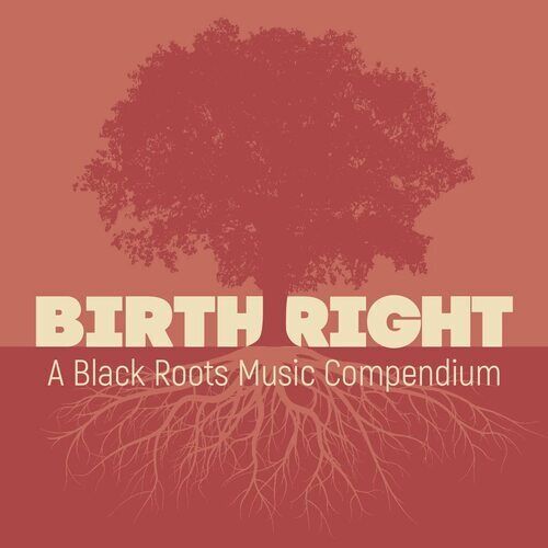 Various Artists : Birthright: A Black Roots Music Compendium CD 2 discs (2023)