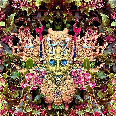 Shpongle : Are You Shpongled VINYL 12" Album Box Set 3 discs (2023)