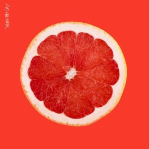Saves The Day : Saves the Day CD (2014)