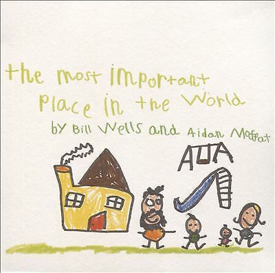 Bill Wells & Aidan Moffat : The Most Important Place in the World CD (2015)