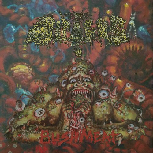 Dipygus : Bushmeat CD (2021)