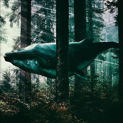 Green Desert Water : Black Harvest CD (2021)