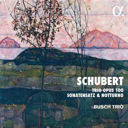 Franz Schubert : Schubert: Trio, Opus. 100/Sonatensatz & Notturno CD Album