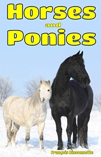 Horses and Ponies: Facts, Information and Beautiful P... by Bissonnette, Francoi