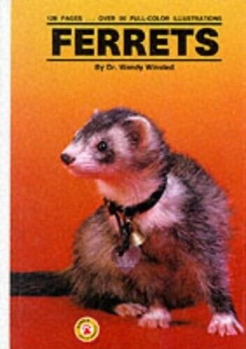Ferrets by Winsted, Wendy