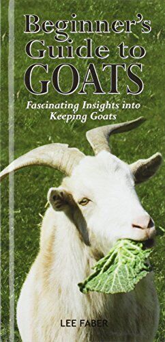 Goats Guide Beginners Guide to Goats by Faber, Lee | CDON