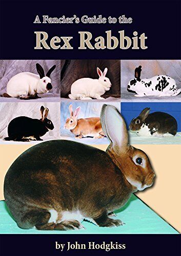A Fancier's Guide to Rex Rabbit, Hodgkiss, John