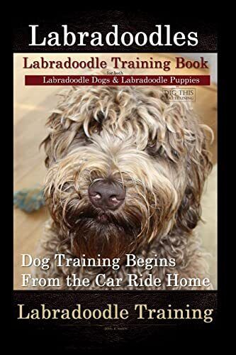 Labradoodles, Labradoodle Training ..., Naiyn, Mr Doug