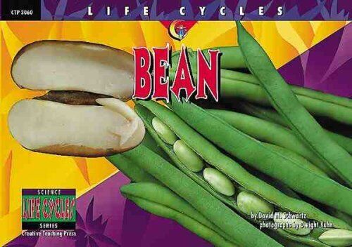 Bean (Life Cycles) by Schwartz, David M.