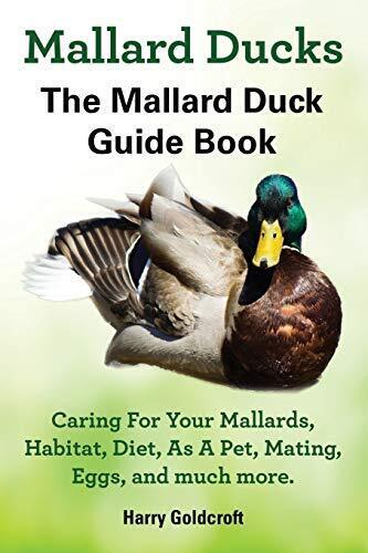 Mallard Ducks, Mallard Duck Com..., Goldcroft, Harr