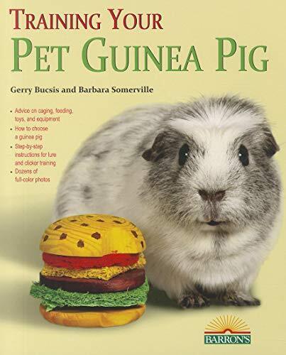 Training Your Guinea Pig (Training Your Pet) (Train... by Gerry Bucsis