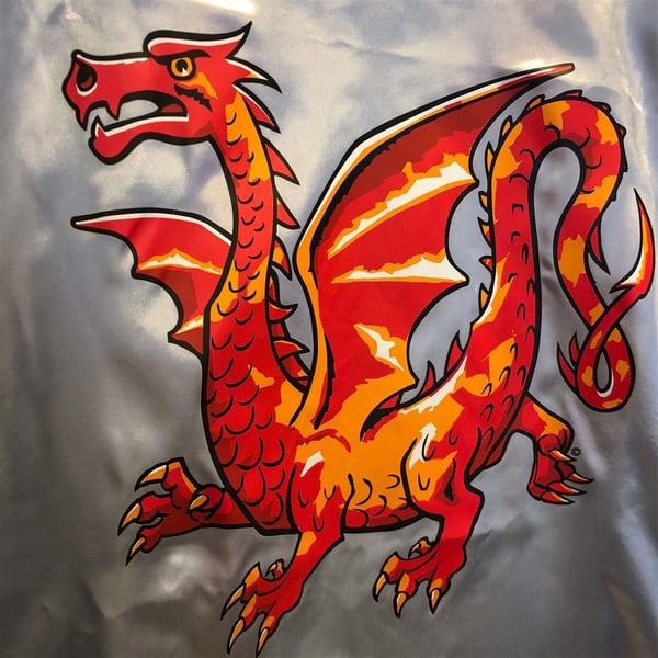 Amber Dragon kappa för utklädnad