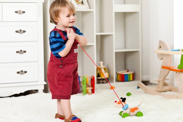 Pintoy dragleksak Hundvalp (från 12 mån)