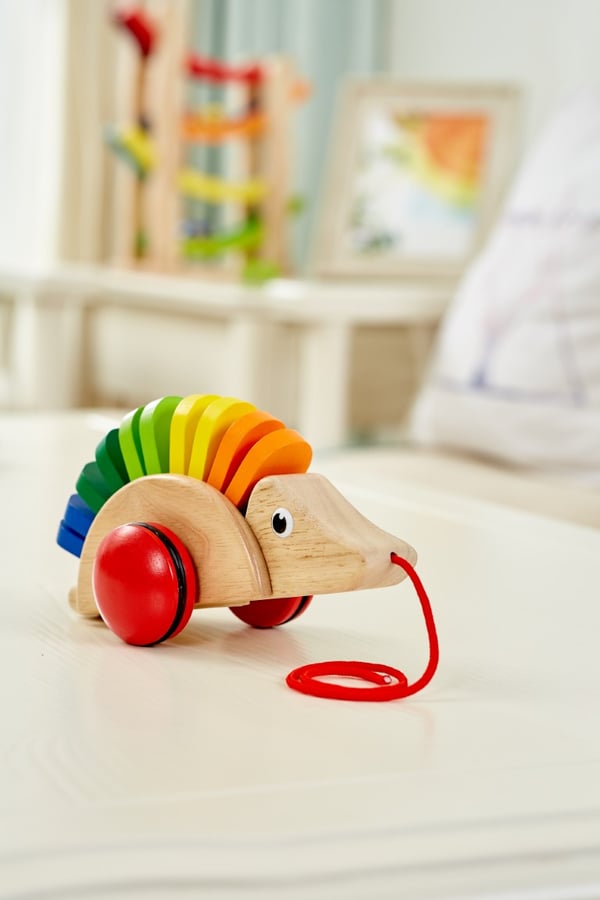 Pintoy dragleksak Igelkott (från 12 mån)