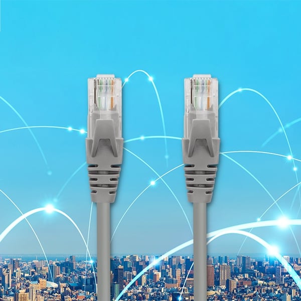 Qoltec UTP-patchkabel CAT5e 2 x RJ-45 1m højhastighedsforbindelse guld