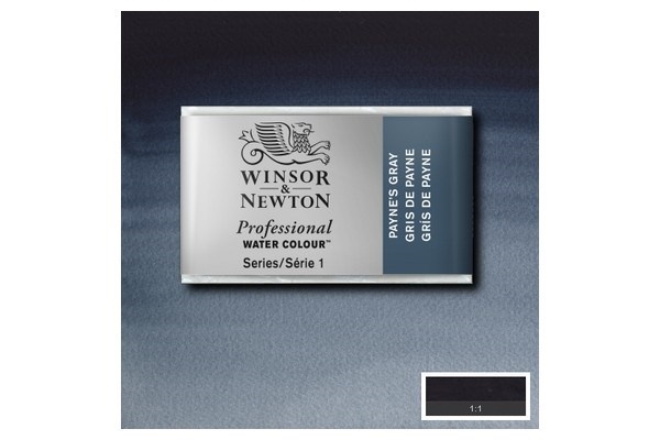 Prof Water Colour Pan/W Paynes Gray 465