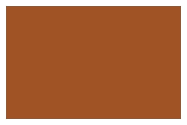 LIQUITEX Ac Spray 400Ml Raw Sienna 0330