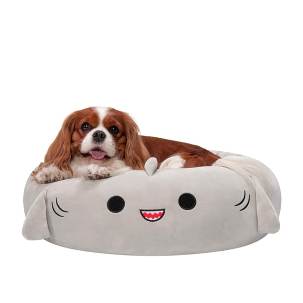 Squishmallows Kjæledyrseng - Hai 61 cm (JPT0097-M)