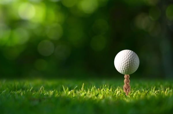 Kikkerland Gopher Golf Tee S/6