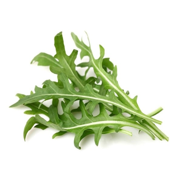 Click & Grow  - Smart Garden 3-pack - Rucola/Rocket (SGR19X3) (SGR19X3)