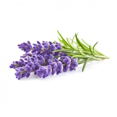 Click & Grow - Smart Garden Refill 3-pack - Lavendel (SGR30X3)