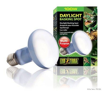Exoterra Daglysspot 100W R25 E27 Grønn - (220.2730)
