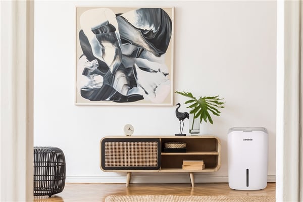 Carl - Avfuktare och luftrenare H11 HEPA-filter, 120m2, Wifi, 46 dB, timer, 2 hastigheter