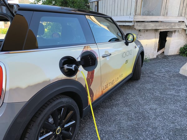 Kokong Ev Zen Charger, Fjord Pink