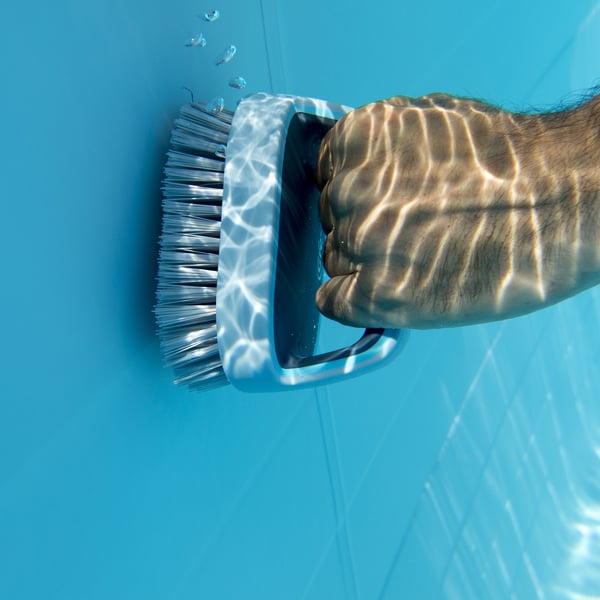 Hand Scrupper Brush