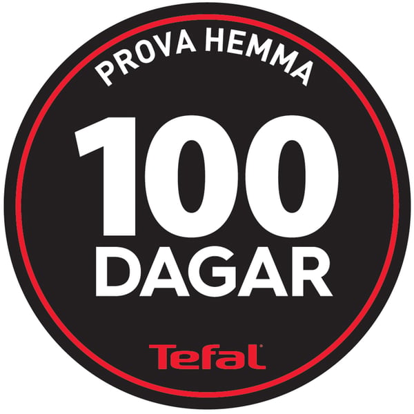Tefal Cube Garment Steamer  UT2020E0