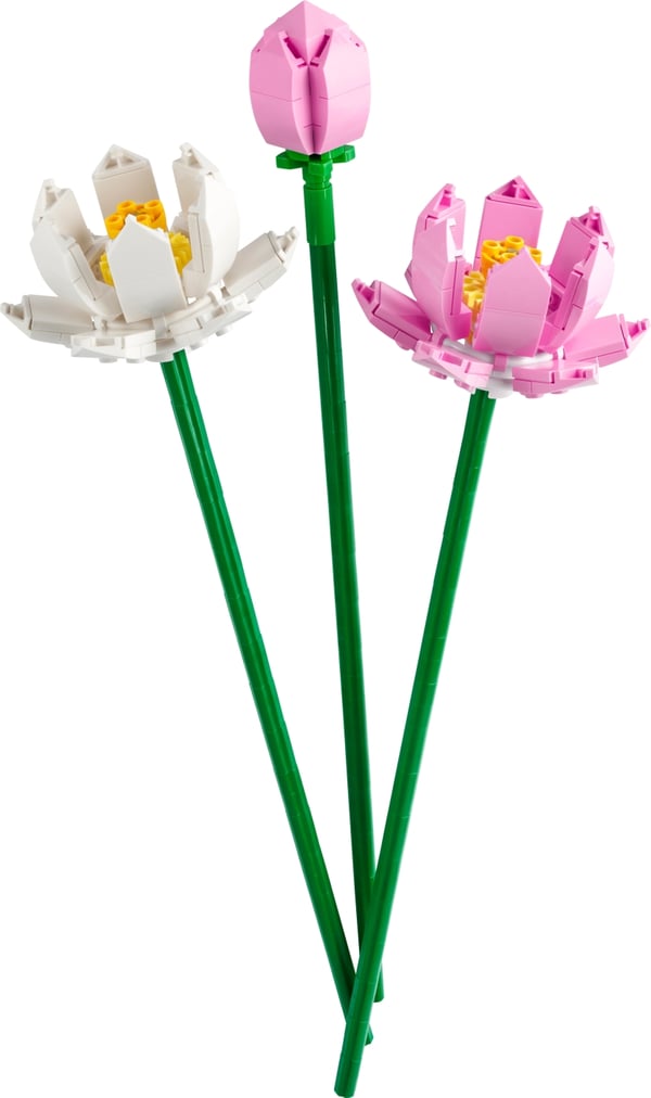 LEGO Botanical 40647  - Lootuskukat