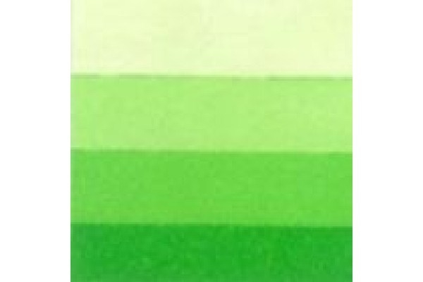 LB Charbonnel Charbo Ink 60Ml Spring Green 544