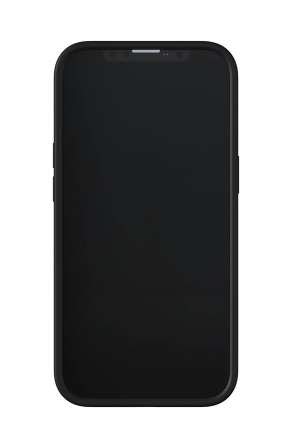 Richmond &amp; Finch iPhone 13 Pro Freedom-etui, grønn leopard