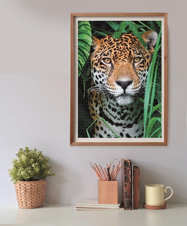 Clementoni 500 kpl CB High Quality Collection Jaguaari viidakossa
