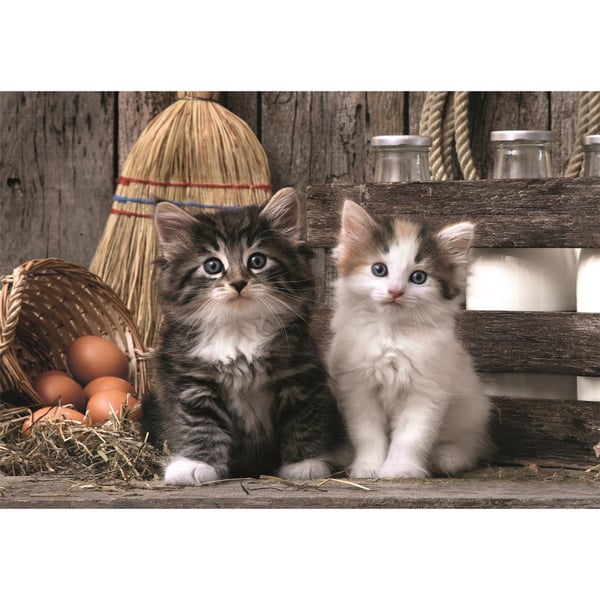 Clementoni Puslespill 1000 Pcs CB High Quality Collection Lovely Kittens