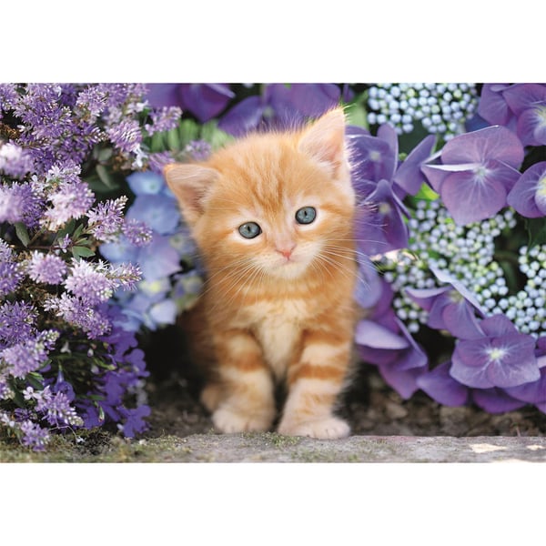 Clementoni Puslespill 500 Pcs CB High Quality Collection Ginger Cat