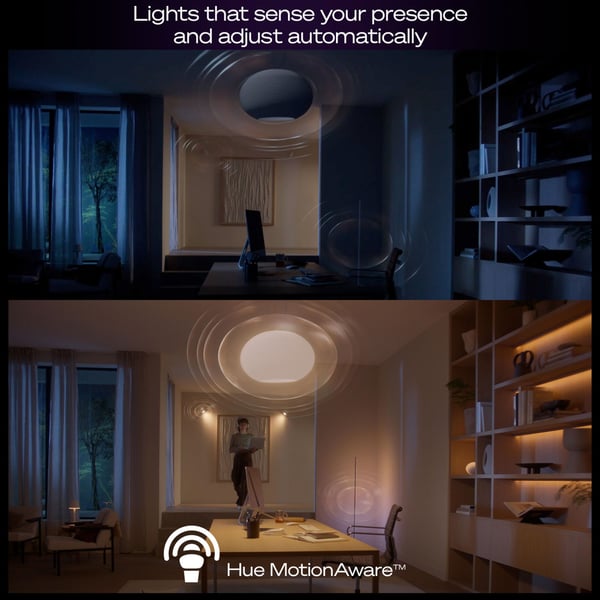 Philips Hue Bridge Pro