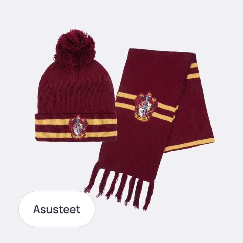 Asusteet