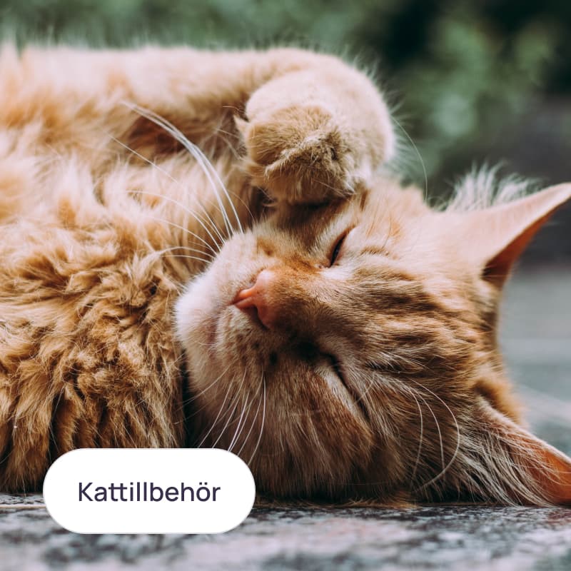 Kattillbehör