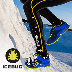 Icebug