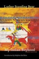 My Indian Boyhood