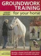 Groundwork Training for Your Horse