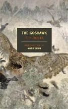 The goshawk