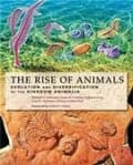 Miniatyrbild 1 av 2: The Rise of Animals