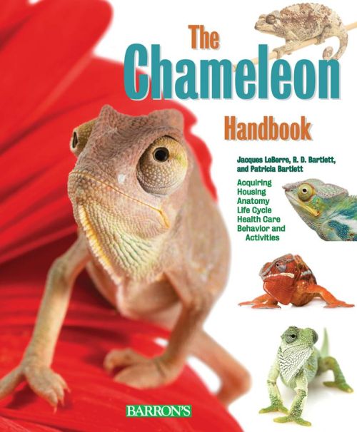 Chameleon Handbook